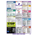 Maine Labor Law Poster English