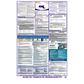 Massachusetts Labor Law Poster Spanish