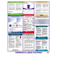 Minnesota Labor Law Poster
