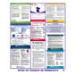 Minnesota Labor Law Poster Spanish