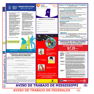 Mississippi and Federal Posters in Spanish