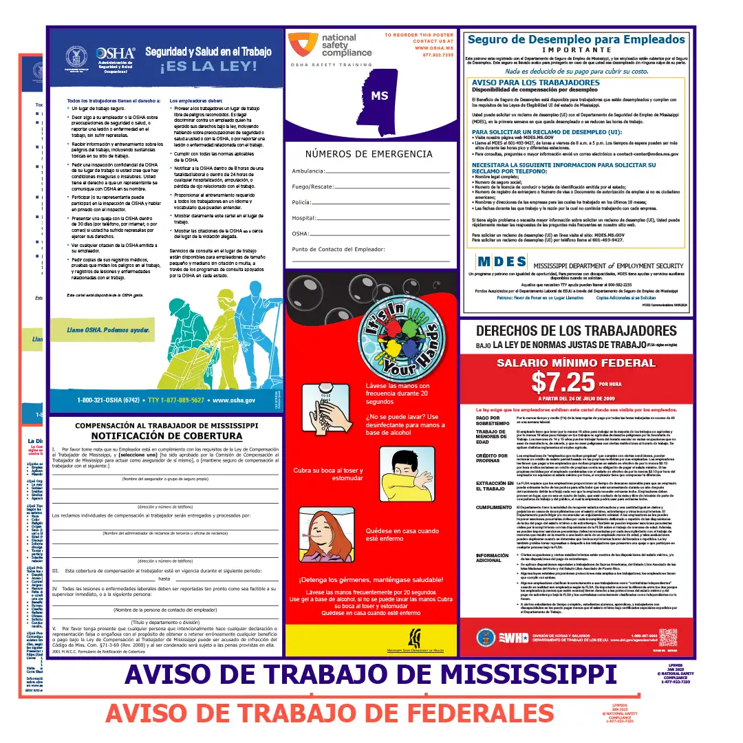 Mississippi and Federal Posters in Spanish