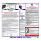 Nevada Labor Law Poster English