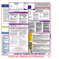 New Mexico & Federal Labor Law Posters Spanish