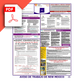 New Mexico Spanish Labor Law Poster PDF Download