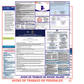 Rhode Island & Federal Labor Law Posters Spanish