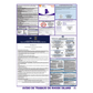 Rhode Island Federal Labor Law Poster Spanish