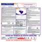 South Carolina & Federal Labor Law Posters Spanish