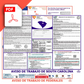 South Carolina & Federal Spanish Labor Law Posters PDF Downloads