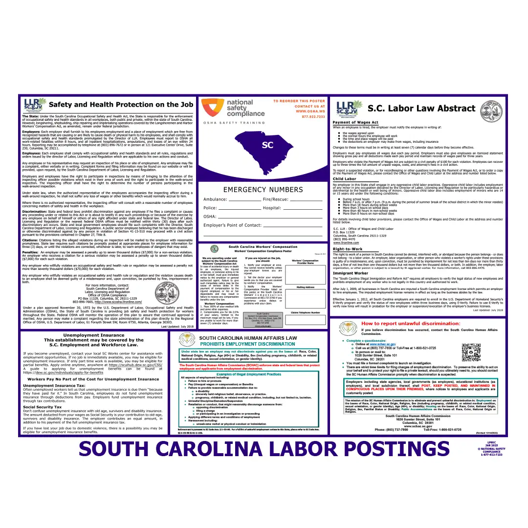 South Carolina English