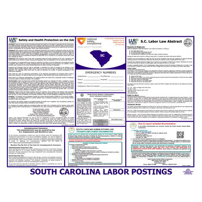 South Carolina English