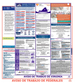 Virginia & Federal Labor Law Posters Spanish