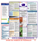 Washington & Federal Labor Law Posters Spanish