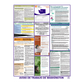 Washington Labor Law Poster Spanish