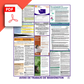 Washington Spanish Labor Law Poster PDF Download