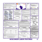 Wisconsin Labor Law Poster English