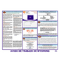 Wyoming Labor Law Poster Spanish