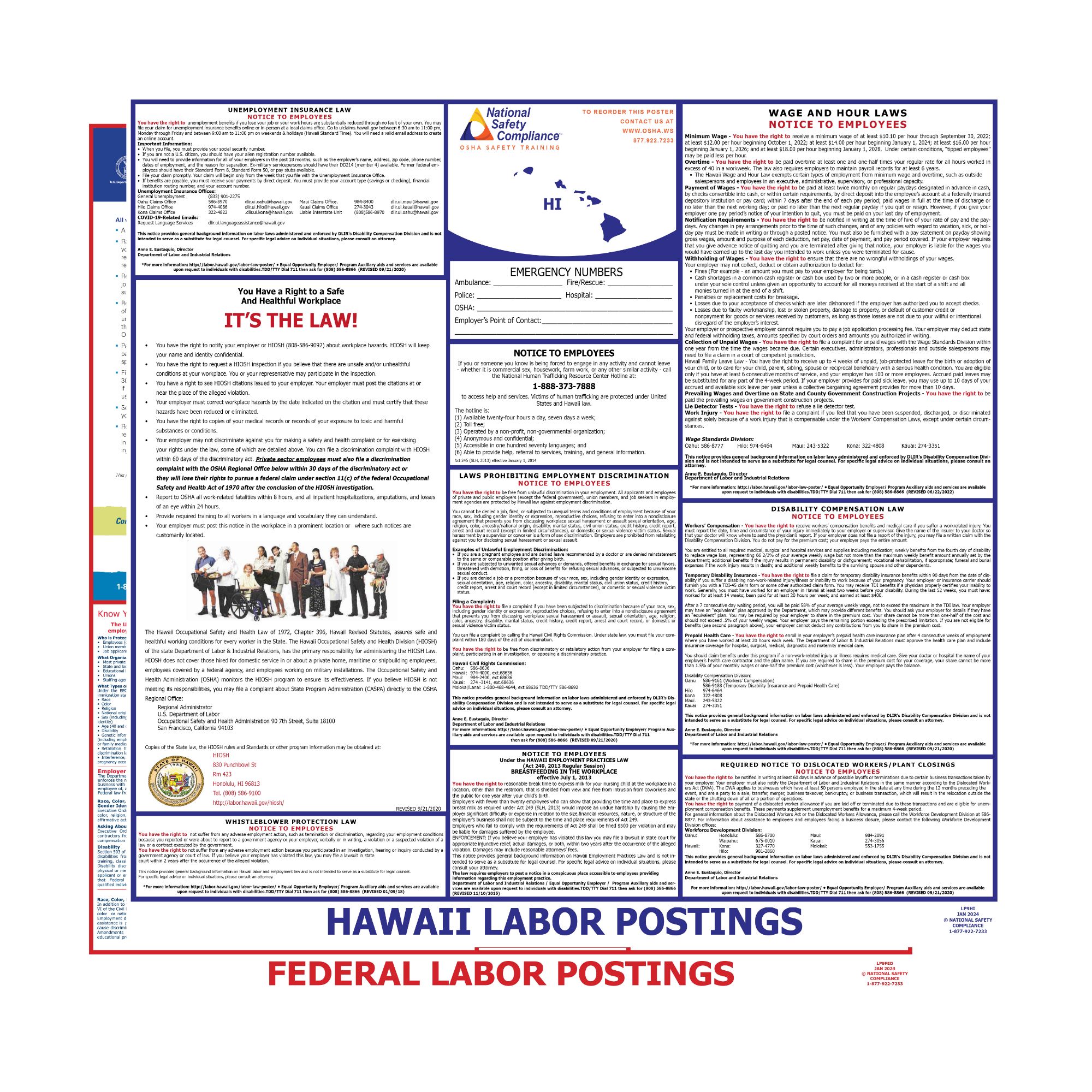 2025 Hawaii State & Federal Posters