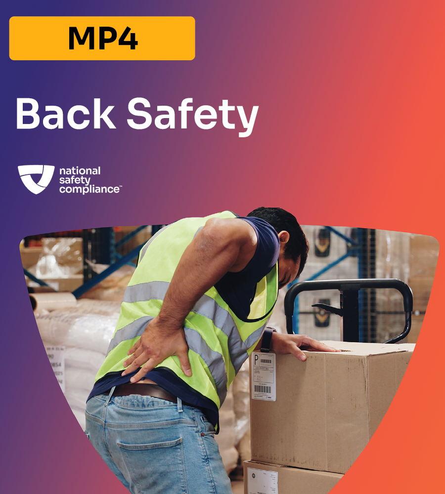 Back Safety MP4 Download