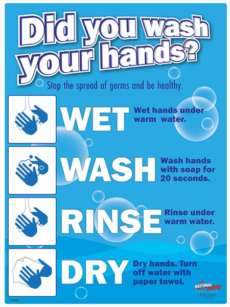 Did You Wash Your Hands Safety Poster