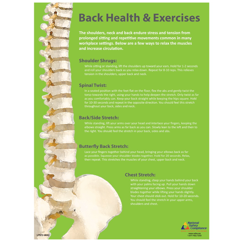 Back Health and Exercises Poster