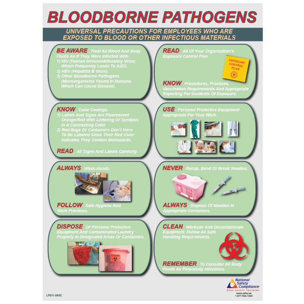 Bloodborne Pathogens Informational Poster